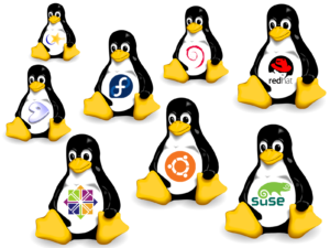 assistenza linux