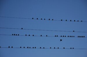 Migrazione Nextcloud
